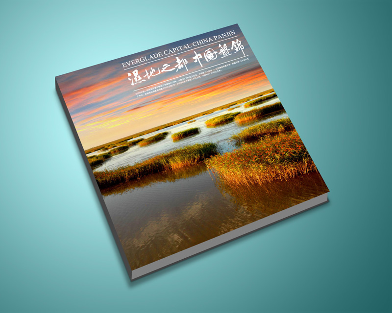 尚丞设计画册作品-<p>盘锦城市画册</p>