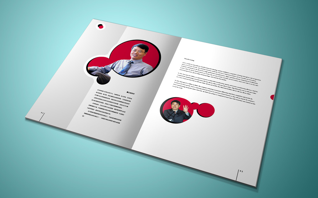 尚丞设计画册作品-金和软件 企业宣传册
