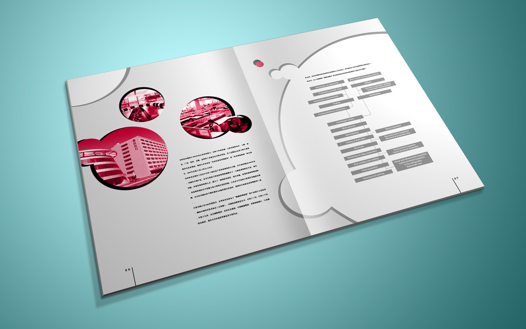 尚丞设计画册作品-金和软件 企业宣传册