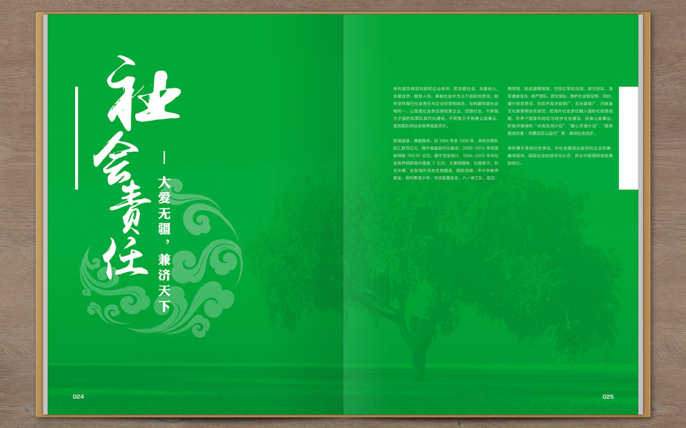 尚丞设计画册作品-<p>保利集团三十周年纪念画册</p>